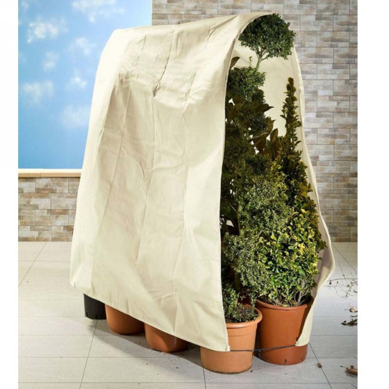 Protège plantes hivernal XL beige