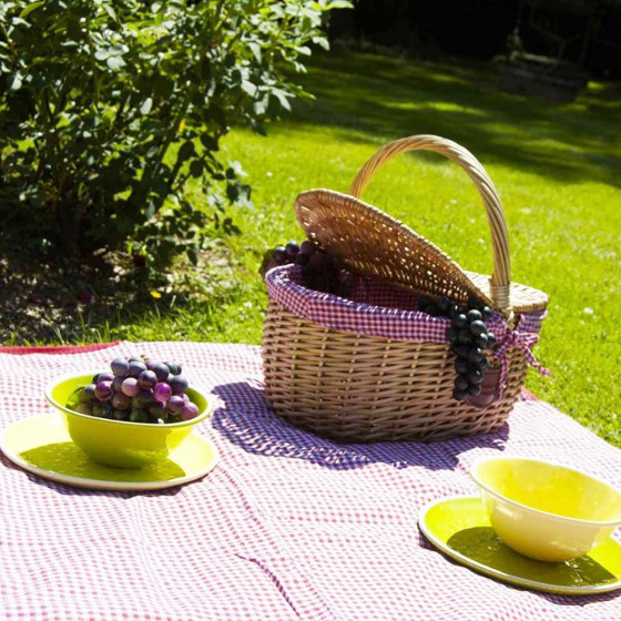 Panier ovale à pique-nique vide en osier et vichy