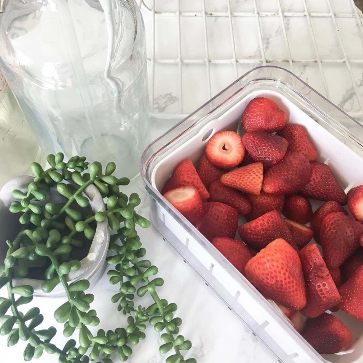 Tapis de réfrigérateur anti-humidité pour fruits et légumes - ON RANGE TOUT