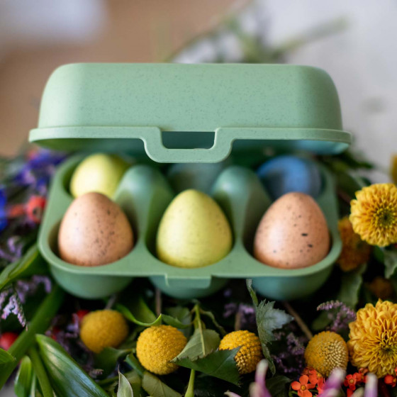 Boîte de rangement 6 œufs en plastique 100% naturel