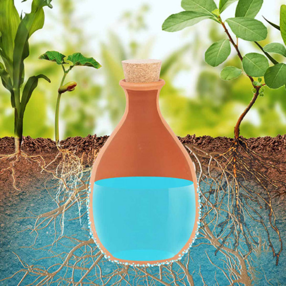 Olla à enterrer en terre cuite