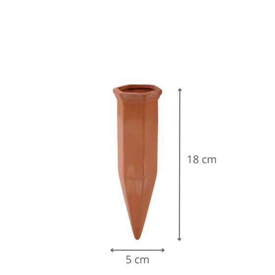 Olla pour plante d'intérieur