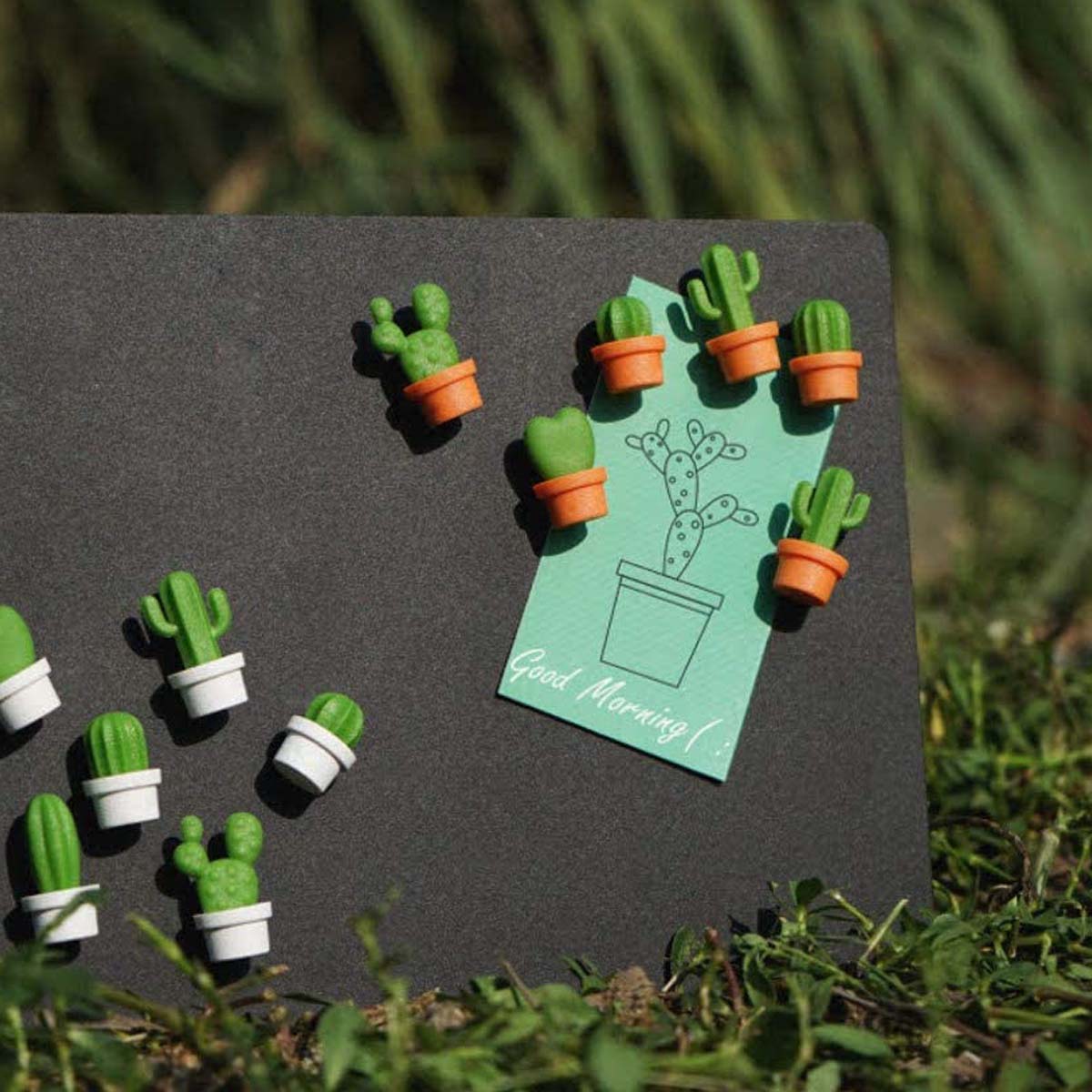 aimants cactus
