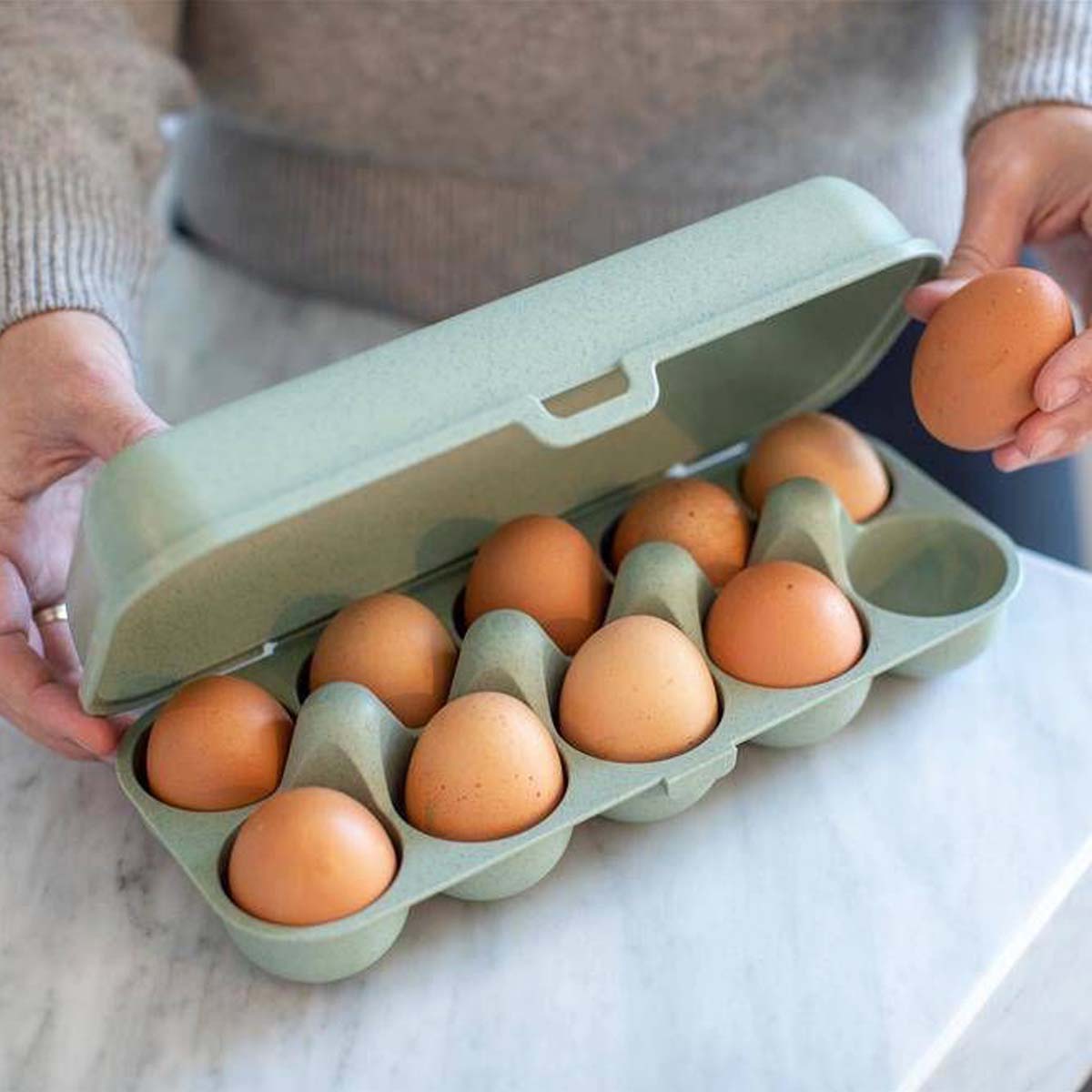 Boîte à oeufs en cellulose rigide et écologique
