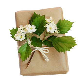 Paquet cadeau naturel