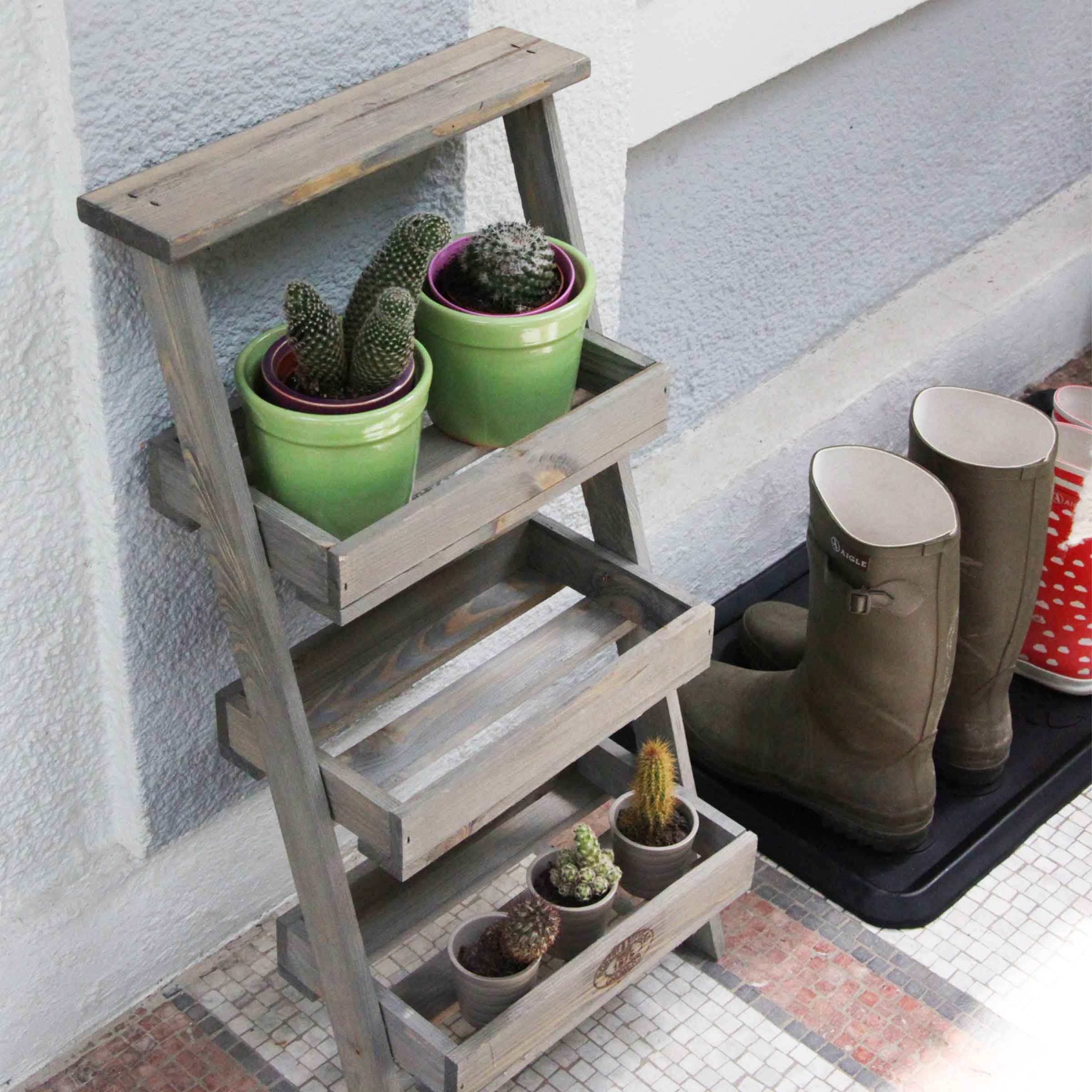 Infos et astuces de l'étagère à plantes